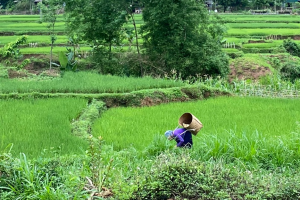 SABORES DEL NORTE VIETNAM EN 09 DÍAS Y 08 NOCHES